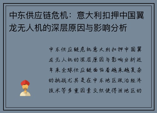 中东供应链危机：意大利扣押中国翼龙无人机的深层原因与影响分析