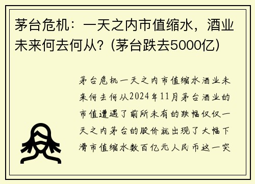 茅台危机：一天之内市值缩水，酒业未来何去何从？(茅台跌去5000亿)