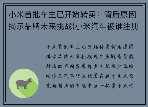 小米首批车主已开始转卖：背后原因揭示品牌未来挑战(小米汽车被谁注册了)