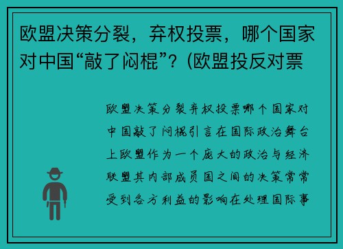 欧盟决策分裂，弃权投票，哪个国家对中国“敲了闷棍”？(欧盟投反对票)