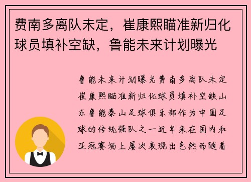 费南多离队未定，崔康熙瞄准新归化球员填补空缺，鲁能未来计划曝光