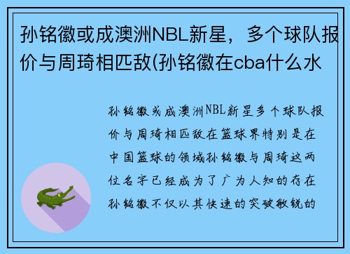 孙铭徽或成澳洲NBL新星，多个球队报价与周琦相匹敌(孙铭徽在cba什么水平)